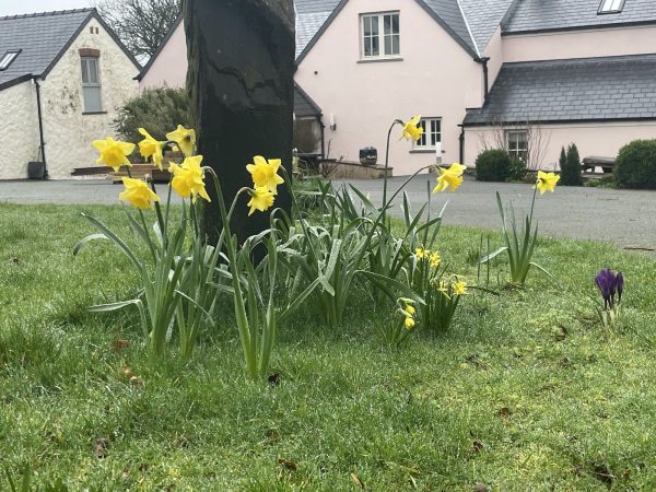 Penpistyll Rural Retreats - East Barn