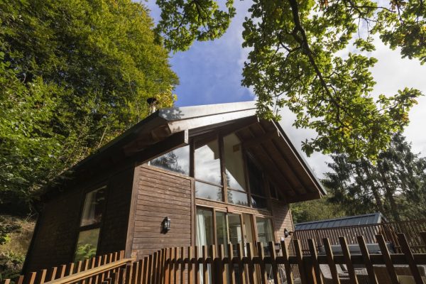 Pinewood Forest Lodge