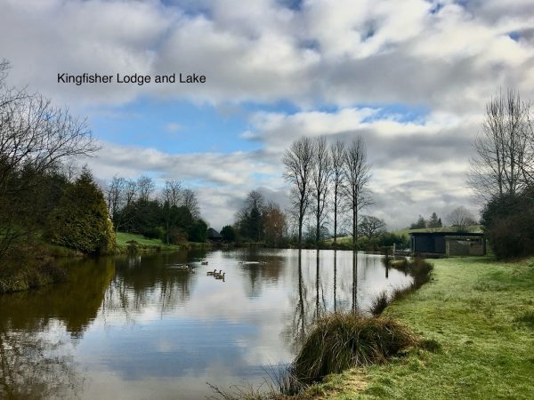 Ponsford Ponds - Kingfisher Lodge