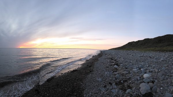 Port View Bach