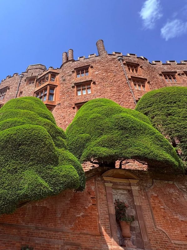 Powis Castle View