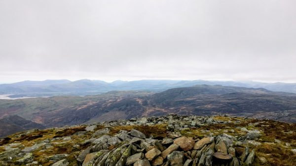 Rhinog