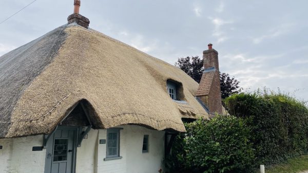 River Test View