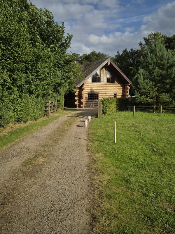 Rural Cabins - Pinecone Cabin