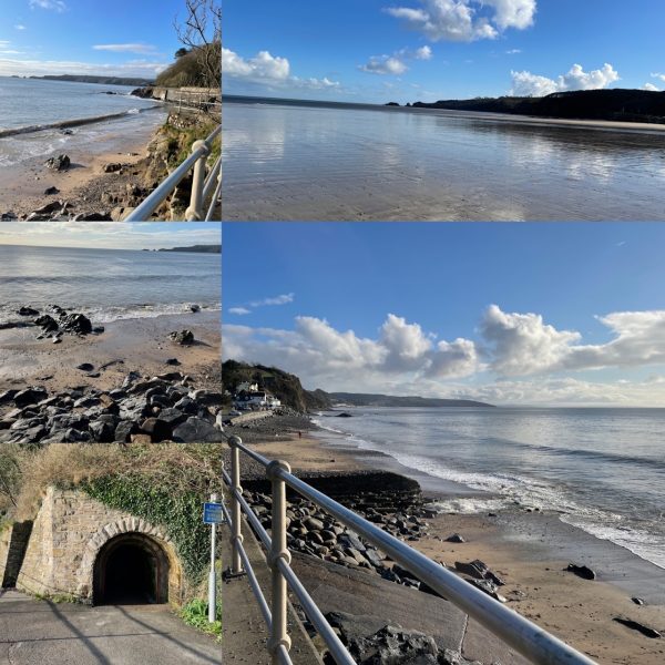 Sandy Hill Park - Sea Dreams