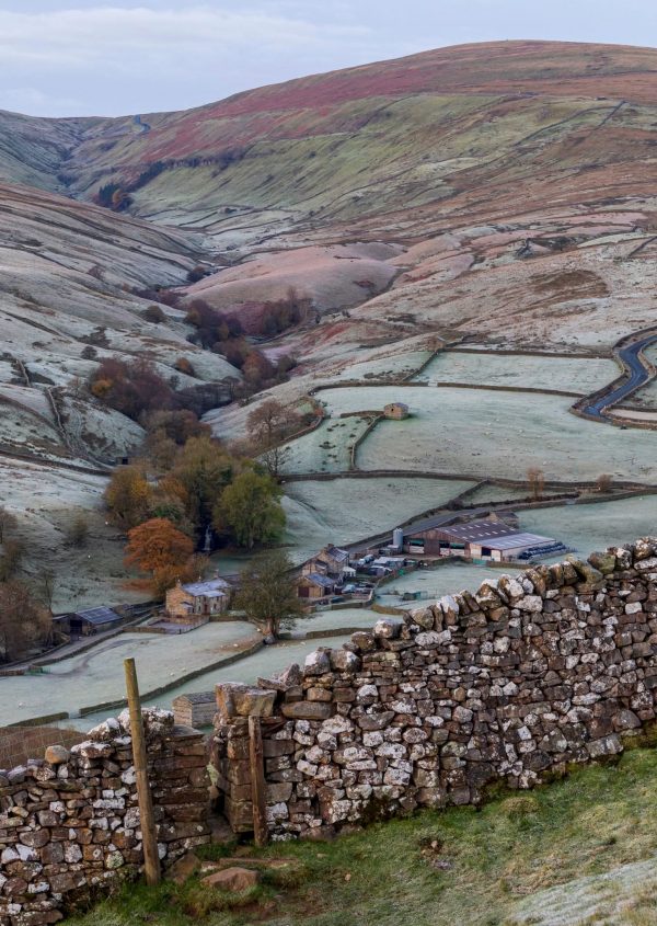 Scarr House Farm