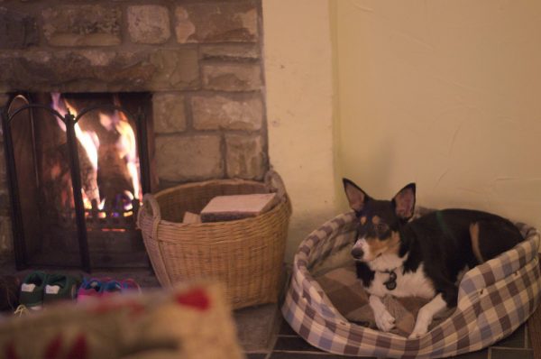 Sheepfold Cottage