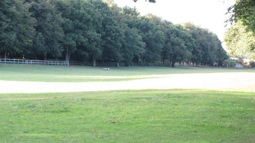Sparrow Stables