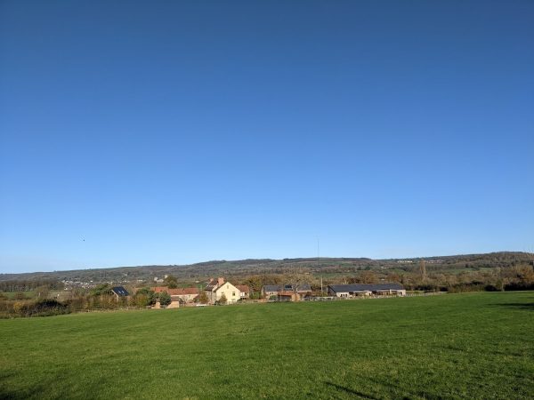 Springfields