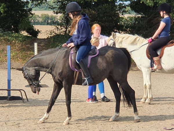Stable