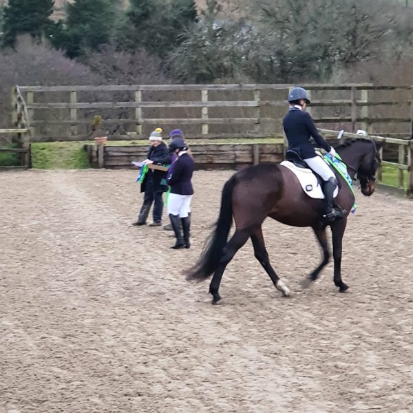 Stables