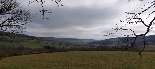 Steelclose Mill