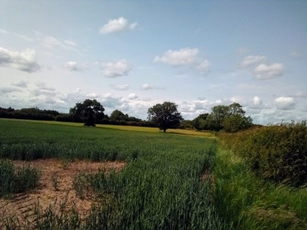 Stenson Hill Farm - Stenson Hill Farm