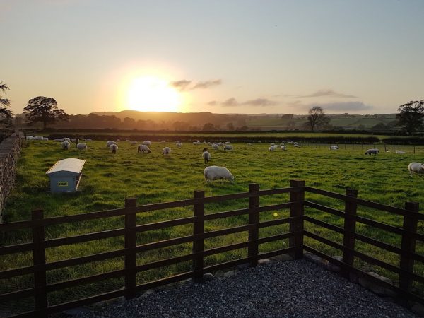 Stone House Farm Holiday Cottages - The Dairy