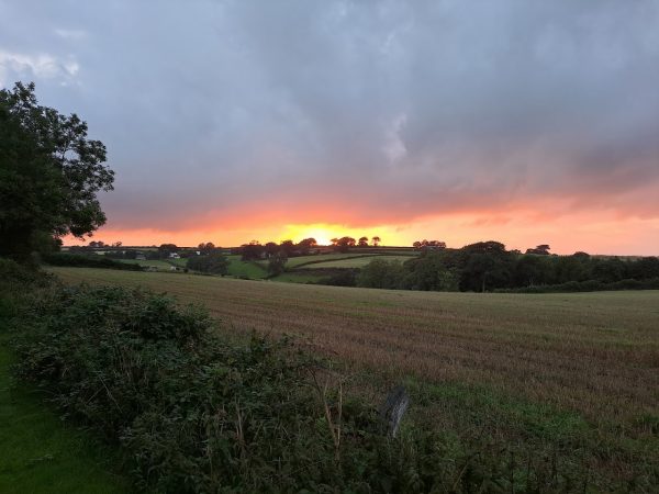 Stowford Lodge Holiday Cottages - Tarka’s Holt Log Cabin