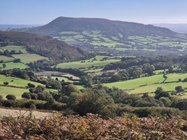 Sugarloaf Hut