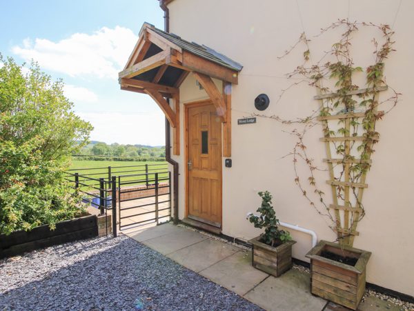 Mossy Lodge