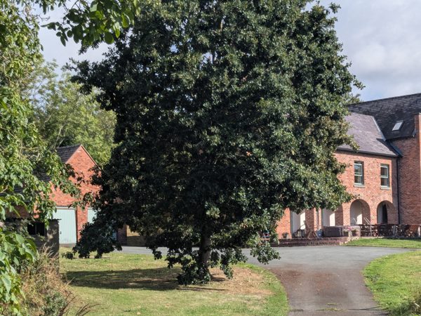 Gaer Hall