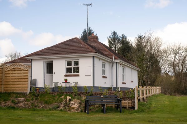 Shirley's House
