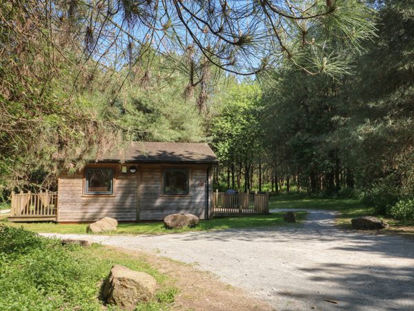 Sycamore Lodge