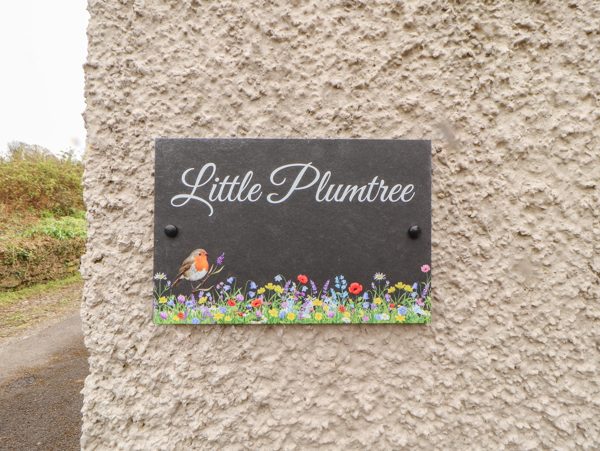 Little Plumtree