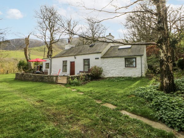 Llwyn Y Brig Isaf