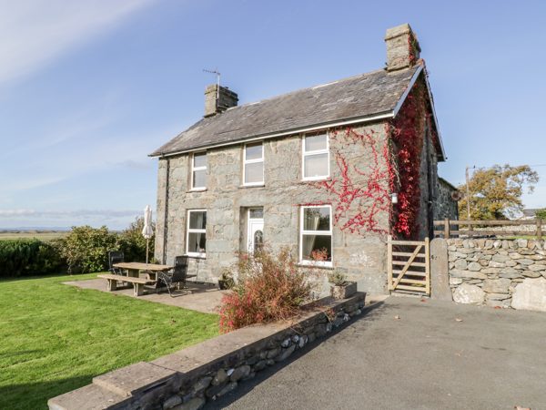 Tyddyn