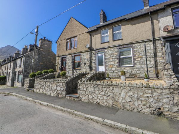 Bythynnod Newydd