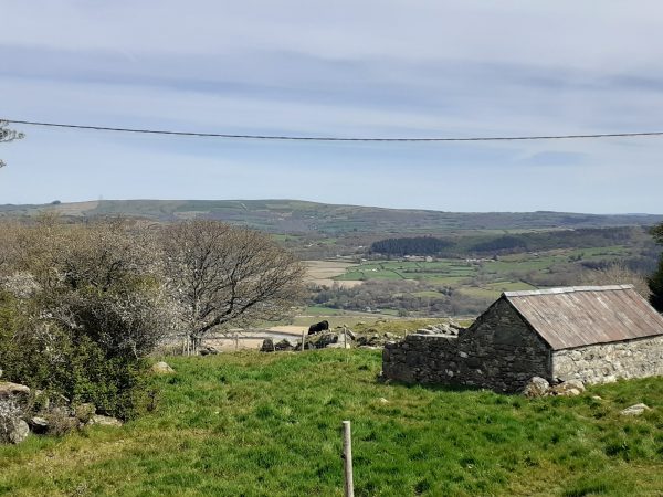 Talybont