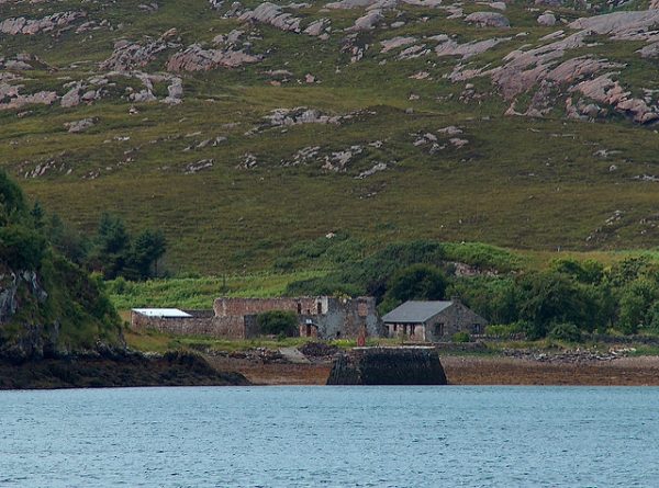 Tanera