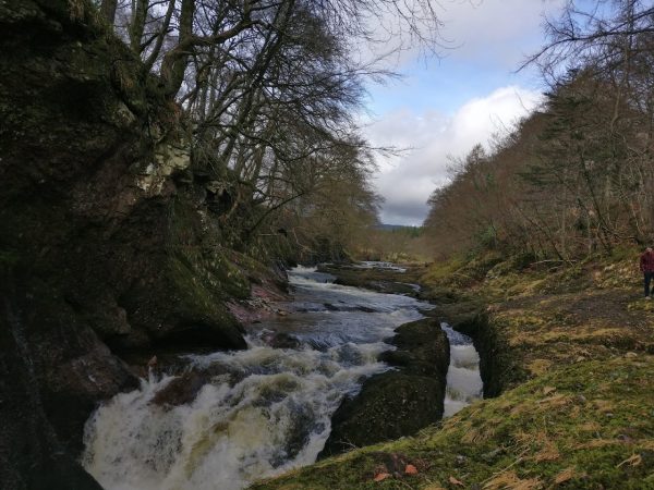 The Burn - North Lodge