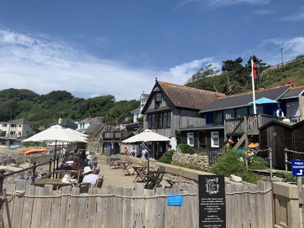 The Cove