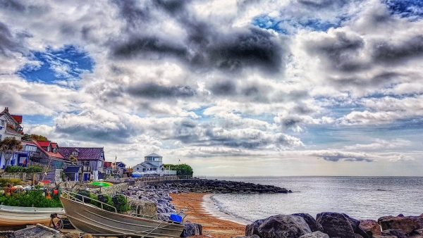The Cove