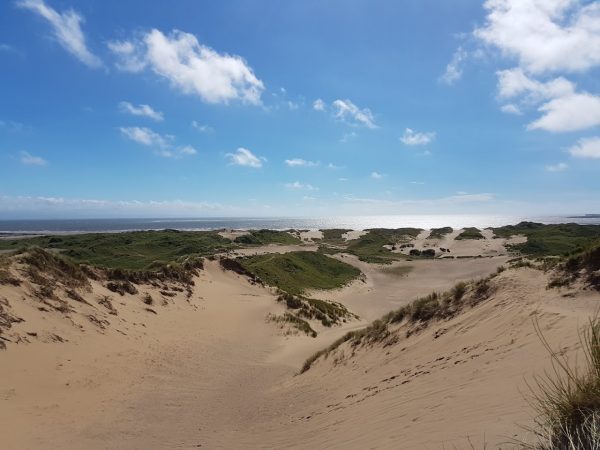 The Dunes