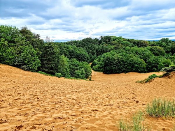 The Dunes