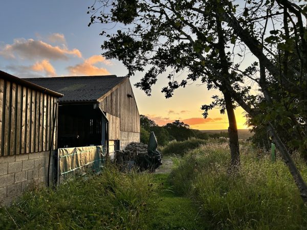 The Farm House - West Wing
