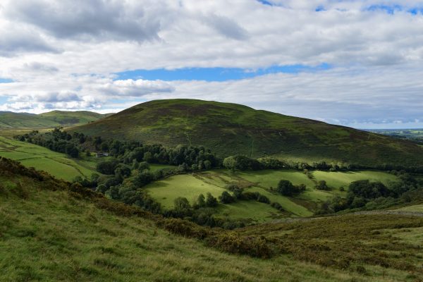 The Fells