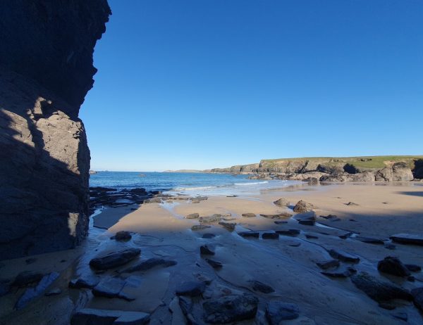 The Harbour Cuddy