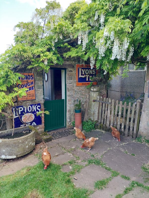 The Hayloft