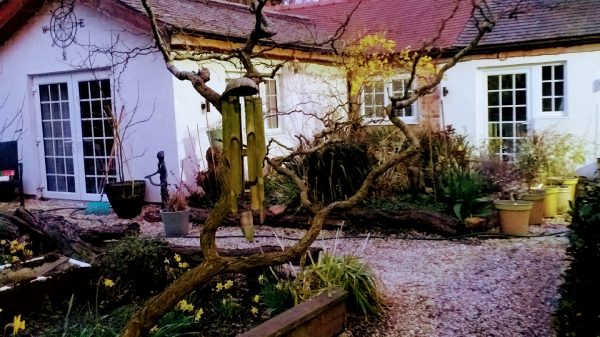 The Little House in Hull