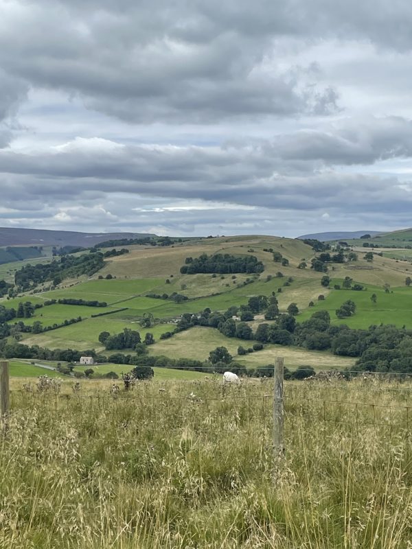 The Lookout Point