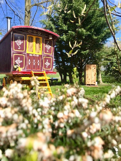 The Meadow Pod