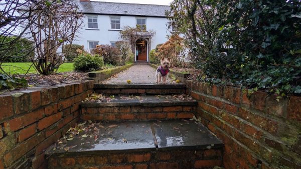 The Old Stables at Mornacott