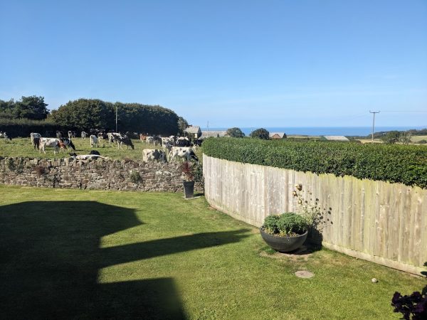 The Retreat