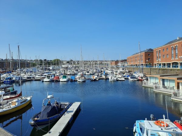 The Waterfront - Woodpecker