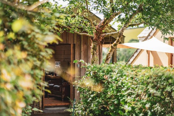 The Writing Shed