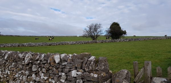 Throwley Hall - Throwley Moor Farmhouse