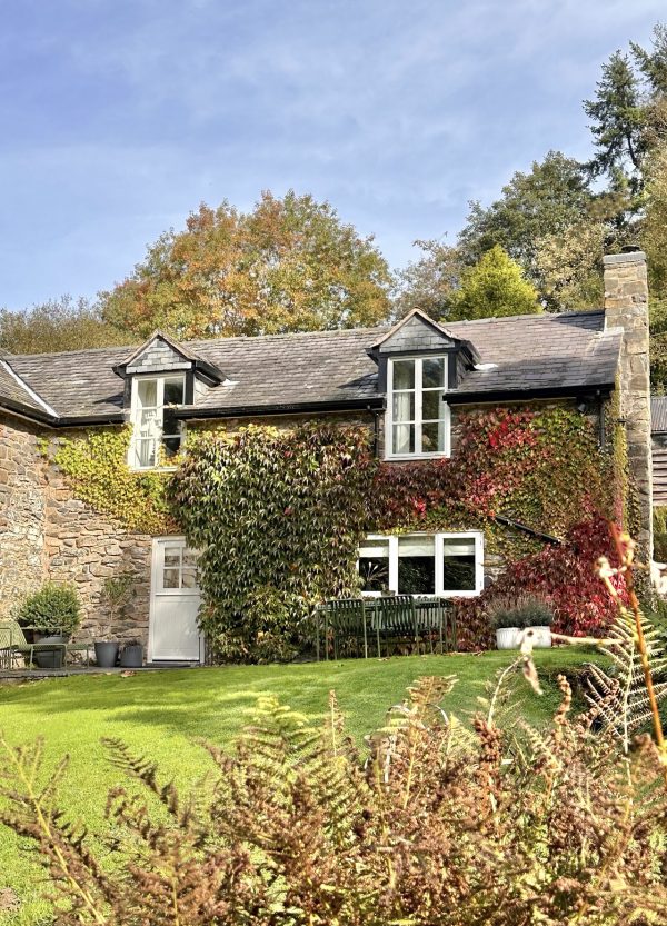 Timber Cottage