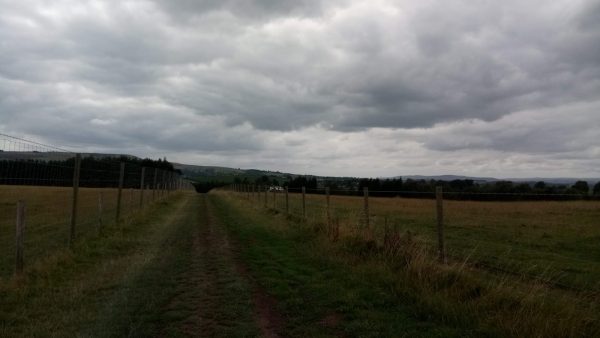 Tophams Laithe