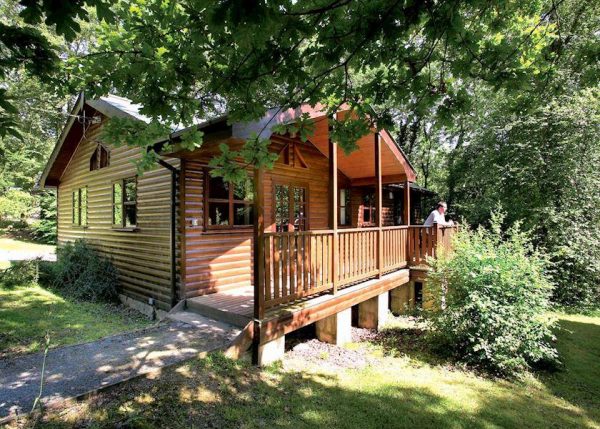 Torwood Lodges - Owls About
